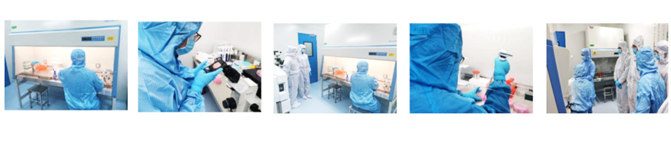 AG尊龙凯时(中国)有限公司官网